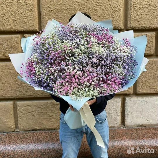 Воздушная гипсофила цветная