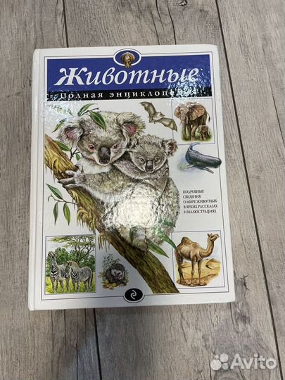 Детские книги пакетом