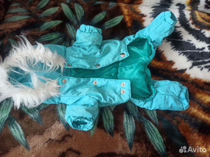 Комбинезон и куртка для маленькой собаки