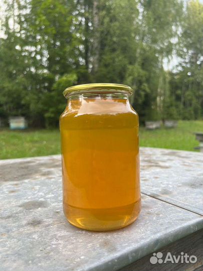 Мёд лесной 2023 года