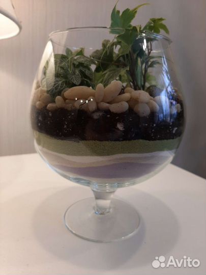 Флорариум,подарок