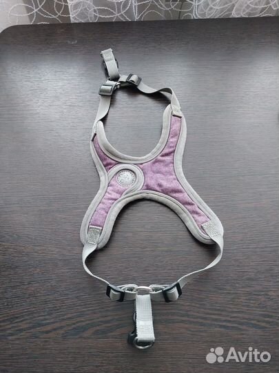 Шлейка и ошейник для мелких пород собак