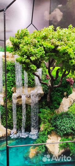 Моссариум флорариум подарок 8 марта