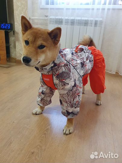 Комбинезон для собак