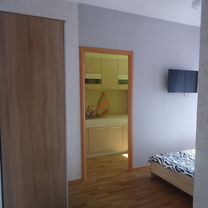 1-к. квартира, 30 м², 5/9 эт.