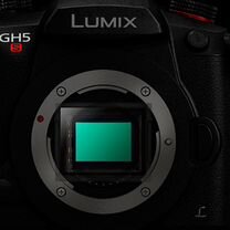 Panasonic Lumix DC-GH5S Body