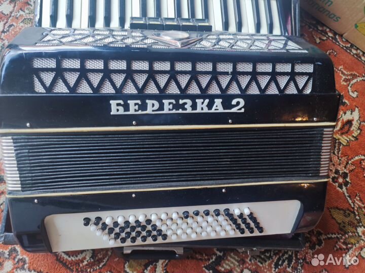 Аккордеон березка 2