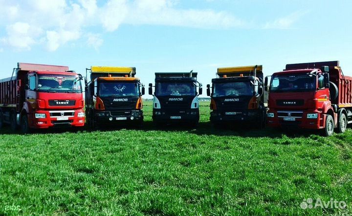 Чернозем Грунт