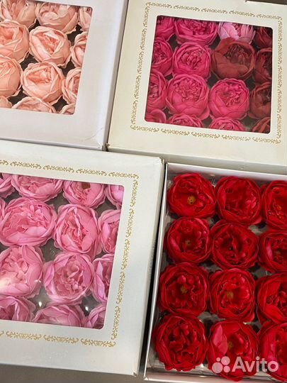 Продам готовый бизнес (хобби)