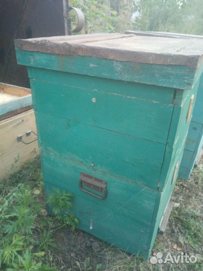 Ульи для пчел