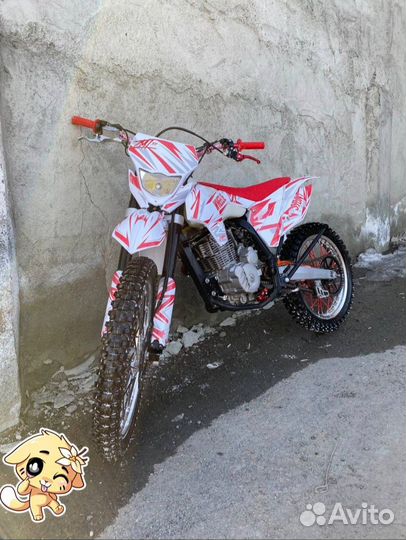 Kayo k1