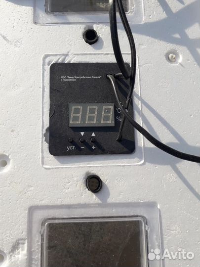 Инкубатор для яиц