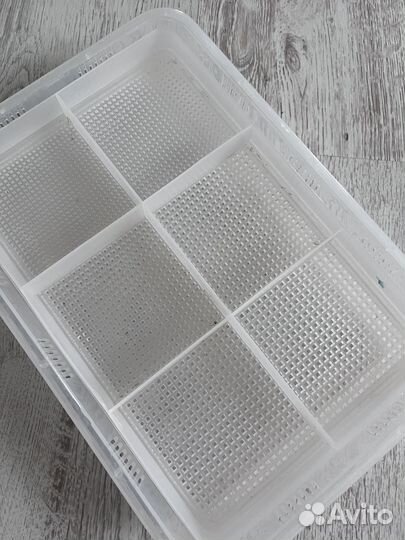 Теплица для микрозелени