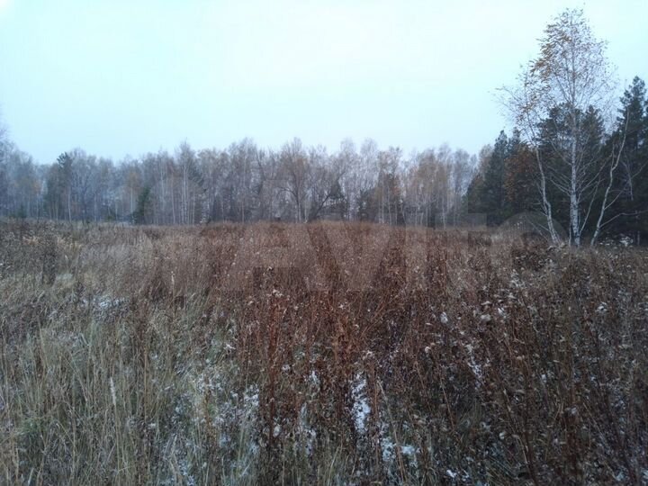 Участок 11 сот. (ИЖС)