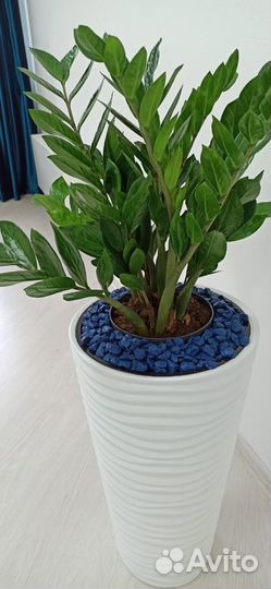 Декоративный камень для сада