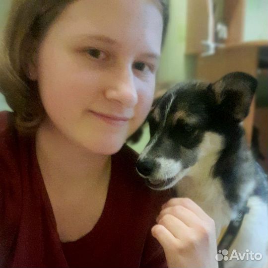 Частный кинолог