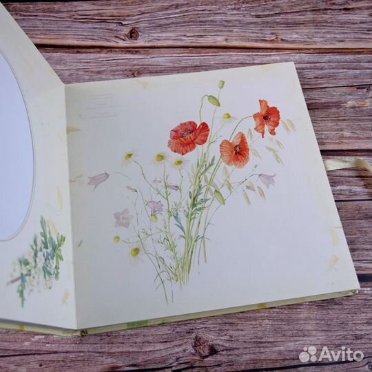 Дневник Эдвардианской Леди фотоальбом