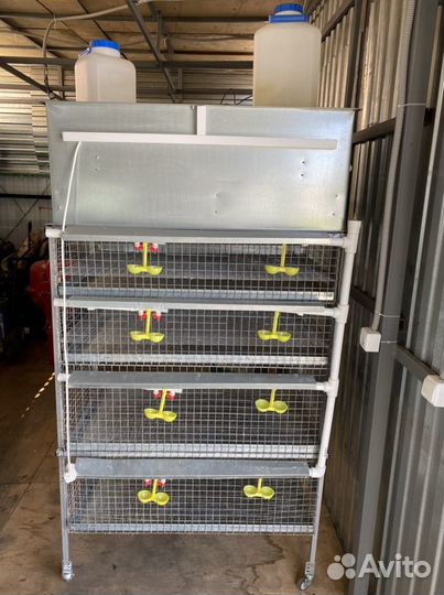 Клетка для перепелок