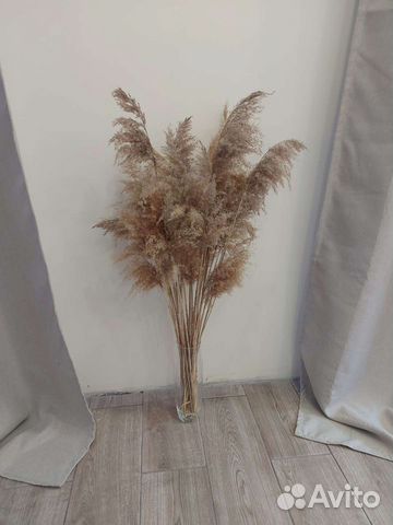 Пампасная трава сухоцветы