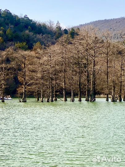 Индивидуальные экскурсии по анапе