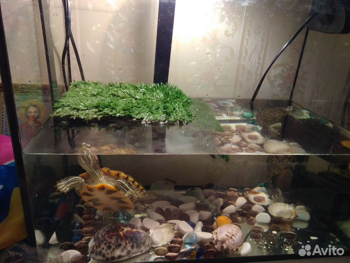 Большой аквариум, террариум для черепах 112 литров