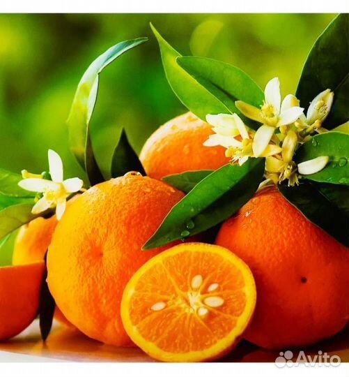 Картина на стекле 