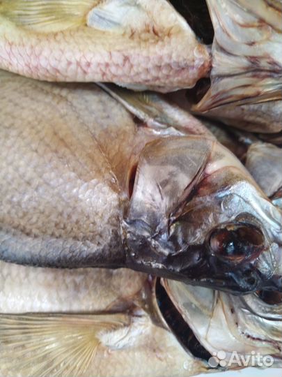 Балтийский морской вяленый лещ