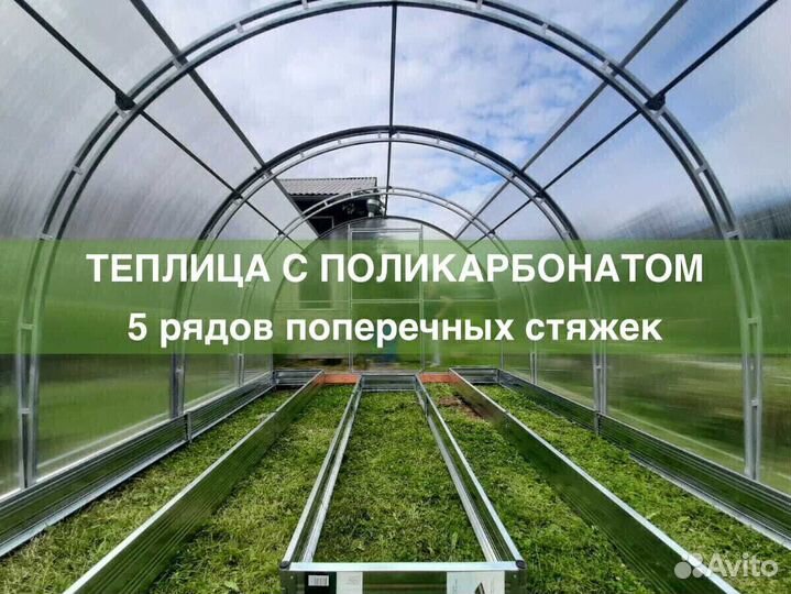 Теплица