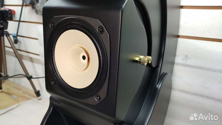 Рупорная акустика