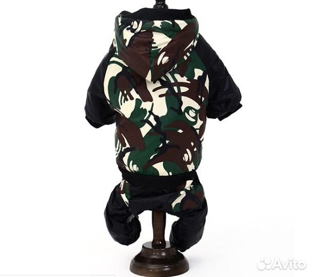 Одежда, обувь и аксессуары для собак