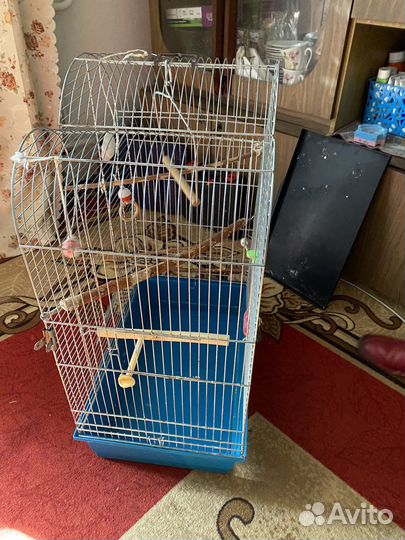 Клетки для попугаев