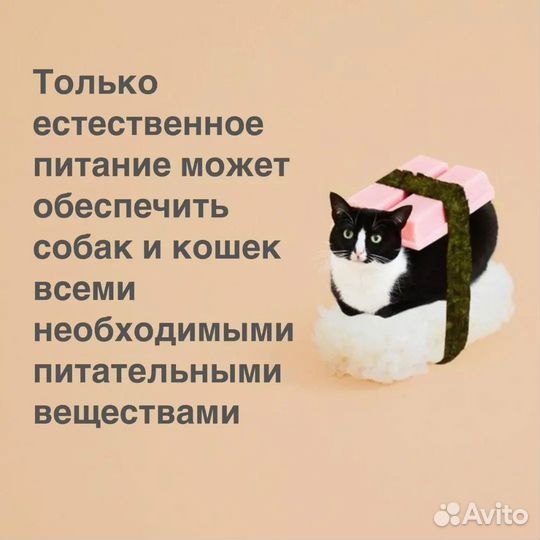 Натуральный корм для собак