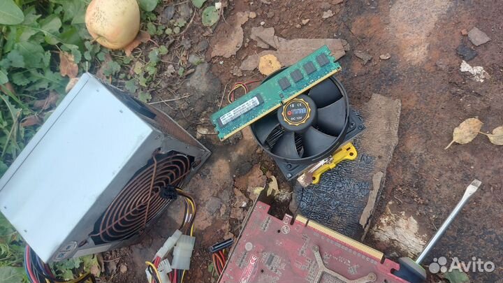 Видеокарта