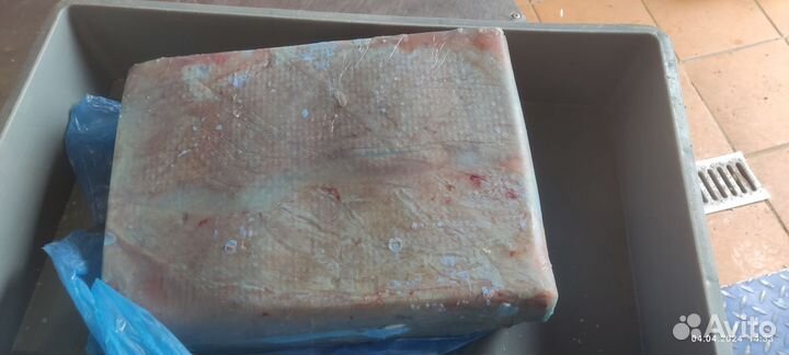 Вымя говяжье. Корм для животных