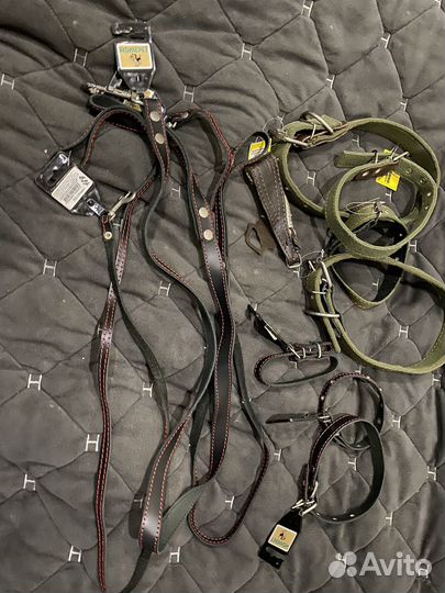 Ошейник и поводок, рулетка