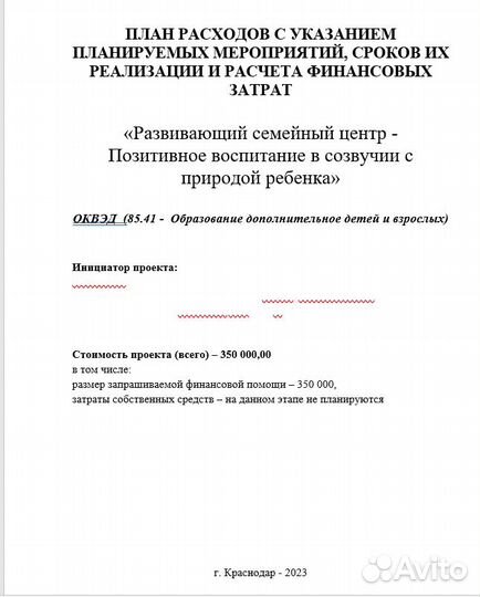 Бизнес план для соцконтракта