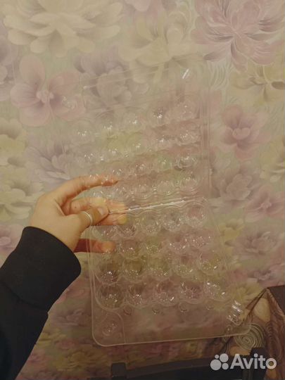 Лоток для перепелиных яиц