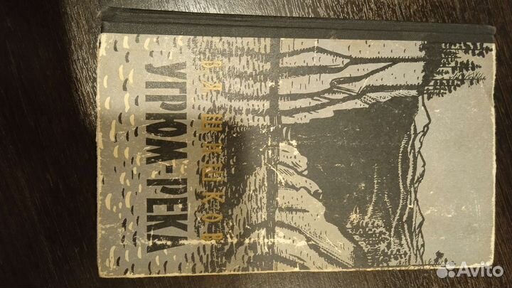 Книга В. Я. Шишкова 