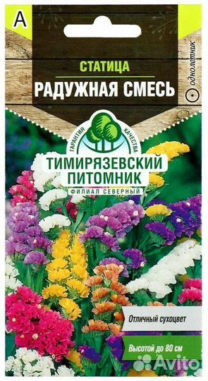 Статица рассада