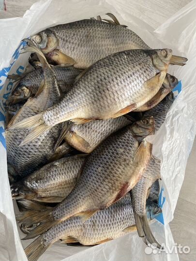 Лещ свежемороженый, вяленая плотва