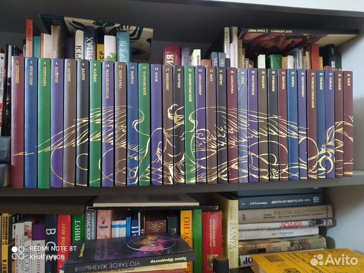 Великие поэты. Книжная серия