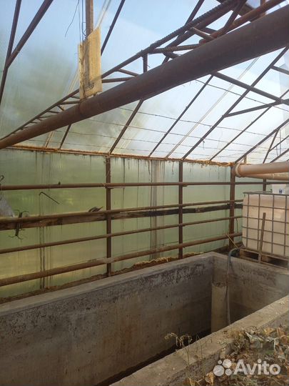 Теплица парники