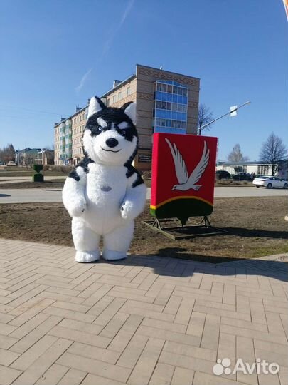 Добрый Хаски на ваше мероприятие