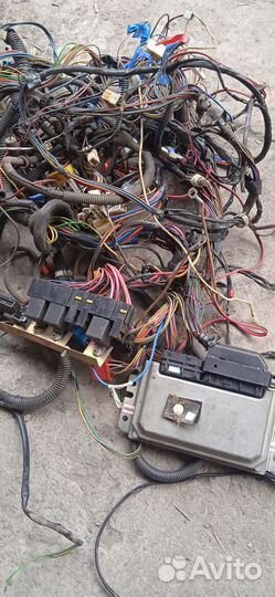 Эбу мозги на ваз 2107 и комплект инжектор