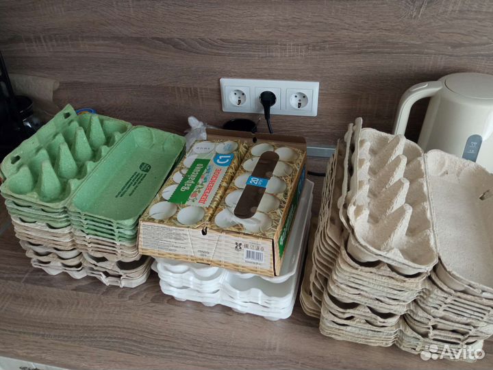 Лотки для яиц