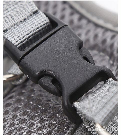 Шлейка для собаки с поводком