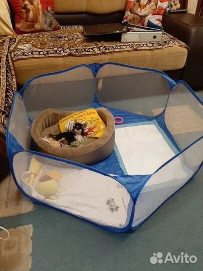 Новый вольер манеж для мелких животных