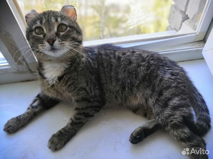 Изумительная малышка