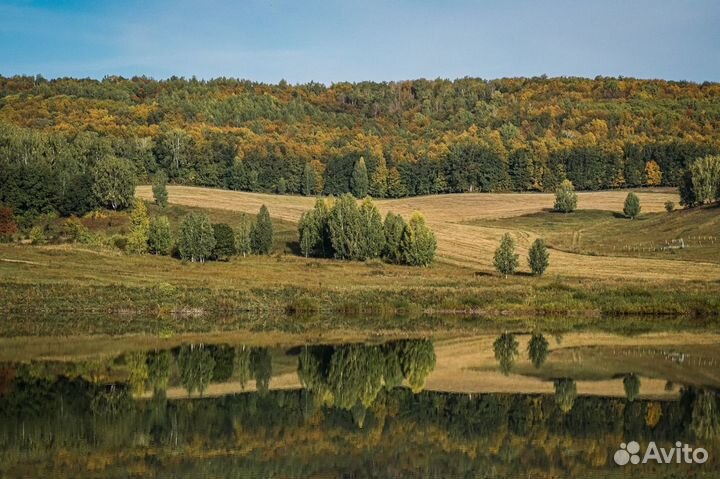 Рыбалка на форель