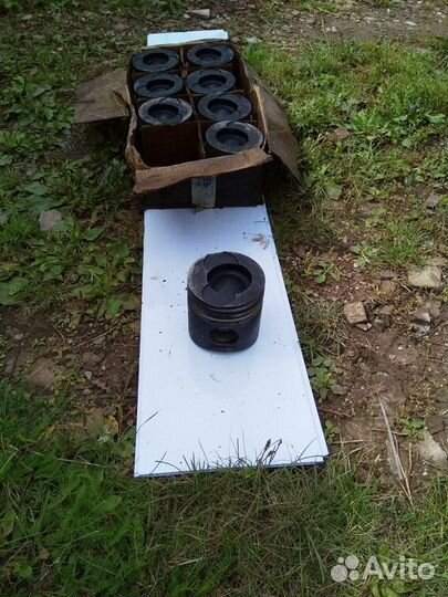 Поршни на камаз